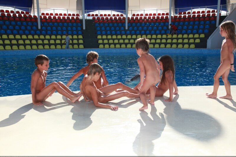 Swimming dolphins photo gallery - The culture of nudism promotes tolerance and mutual understanding