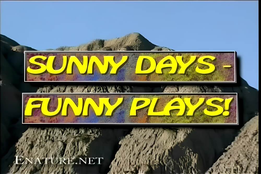 Enature - Sunny Days – Funny Plays - Overcoming Shame