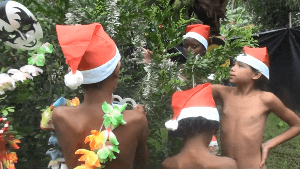 Brazil Festival Celebrations 1 Full HD - The Theory and Practice of Naturism